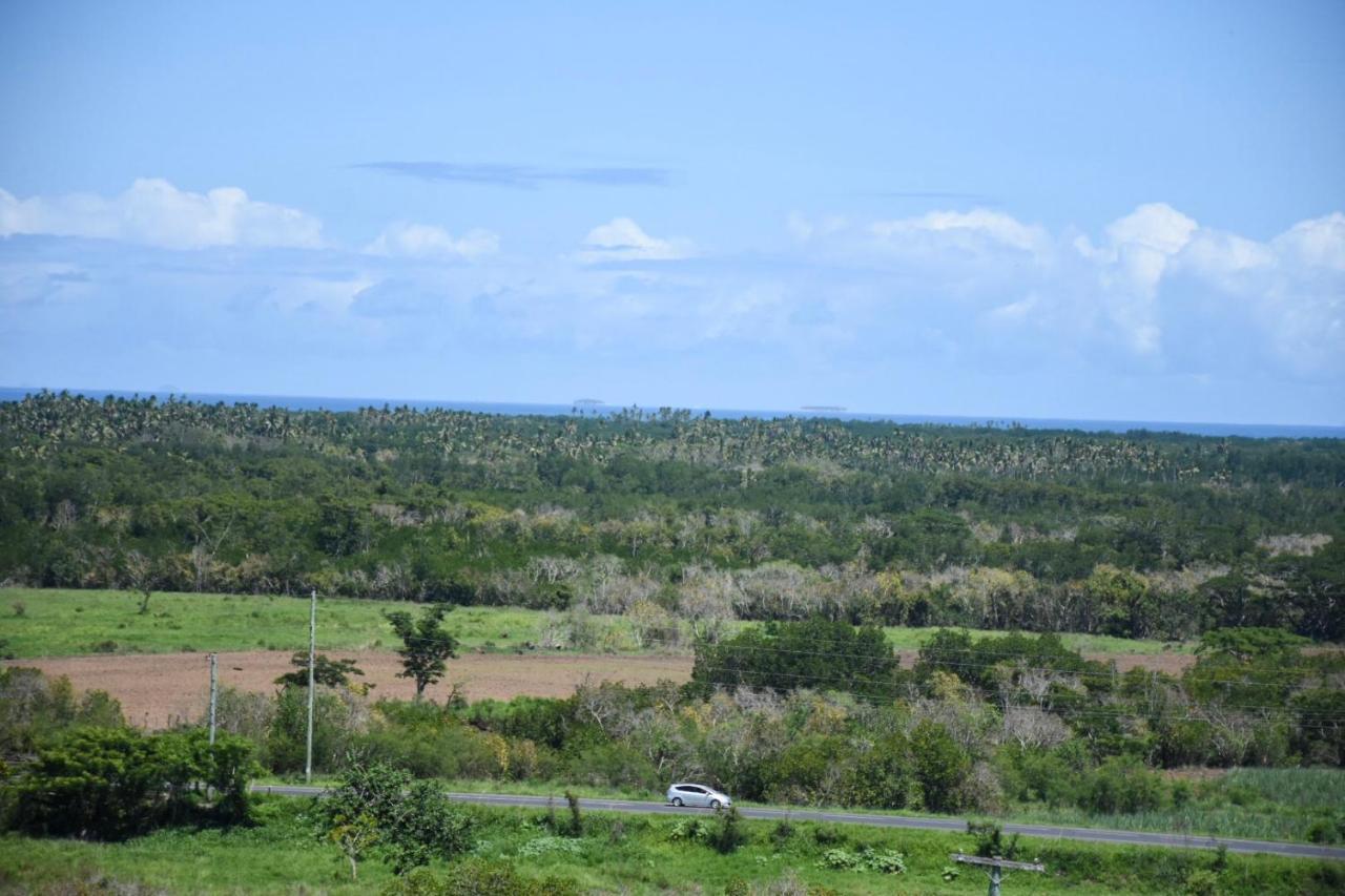 Best View Apartments Nadi Extérieur photo